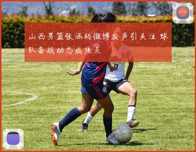 山西男篮张涵钧微博发声引关注 球队备战动态成焦点