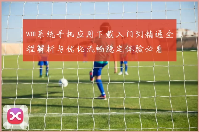 wm系统手机应用下载入门到精通全程解析与优化流畅稳定体验必看