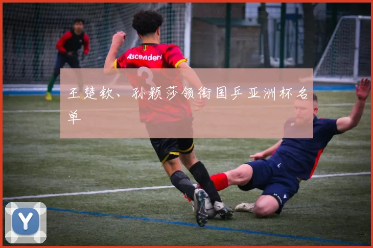 王楚钦、孙颖莎领衔国乒亚洲杯名单